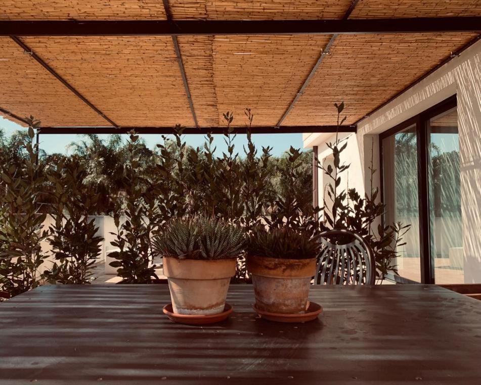 Petrasicula Apartment アーチトレッツァ エクステリア 写真